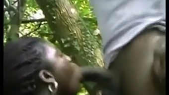 Black Ebony Bombshell Takes On Anal Fucking