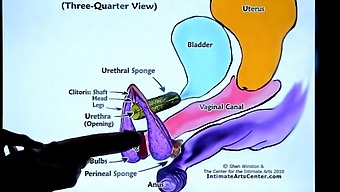 European Teacher Teaches How To Make A Girl Squirt In Part 2